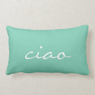 Mint en White Ciao Kussen