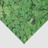 Mint Foliage Tissuepapier (Detail)