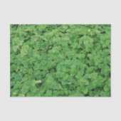 Mint Foliage Tissuepapier (Voorkant)