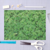 Mint Foliage Tissuepapier (Craft)