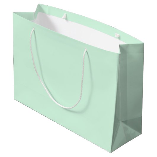 Mint Gift Bag Groot Cadeauzakje (Achterkant Gekanteld)