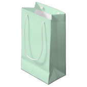 Mint Gift Bag Klein Cadeauzakje (Voorkant Gekanteld)