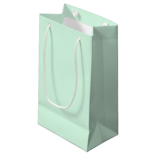 Mint Gift Bag Klein Cadeauzakje (Voorkant Gekanteld)