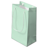 Mint Gift Bag Klein Cadeauzakje (Achterkant Gekanteld)