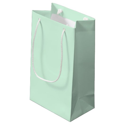 Mint Gift Bag Klein Cadeauzakje (Achterkant Gekanteld)