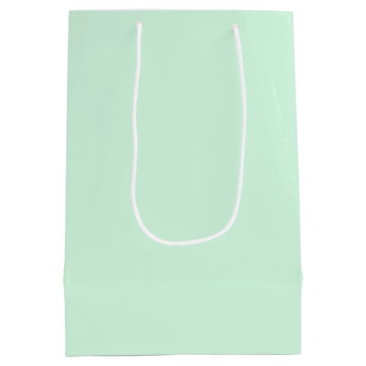 Mint Gift Bag Medium Cadeauzakje (Achterkant)