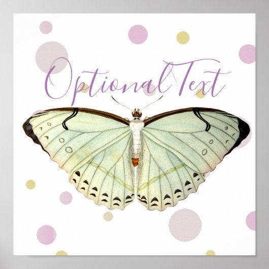 Mint Green Beauty Butterfly Poster (Voorkant)
