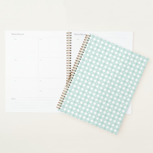 Mint Green Checks Planner (Display)