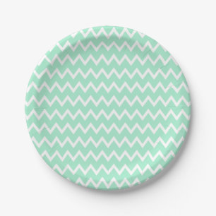 Mint Green en White Chevron Pattern Papieren Bordje