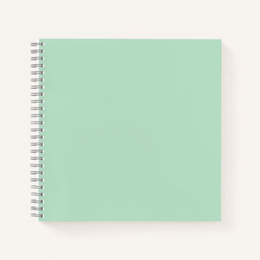Mint Green esthetische spiraal Notitieboek (Voorkant)