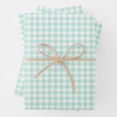 Mint Green Gingham Check Patroon Inpakpapier Vel (In situ)