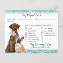 Mint Green Glitter Dog Grooming Report Kaart Flyer