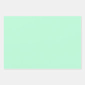 Mint Green Inpakpapier Vel (Voorkant)