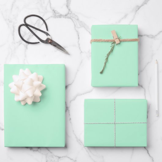 Mint Green Inpakpapier Vel (Voorkant)