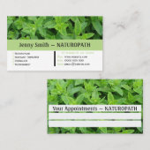 Mint Green Naturopath Appointment Visitekaartje Afsprakenkaartje (Voorkant / Achterkant)