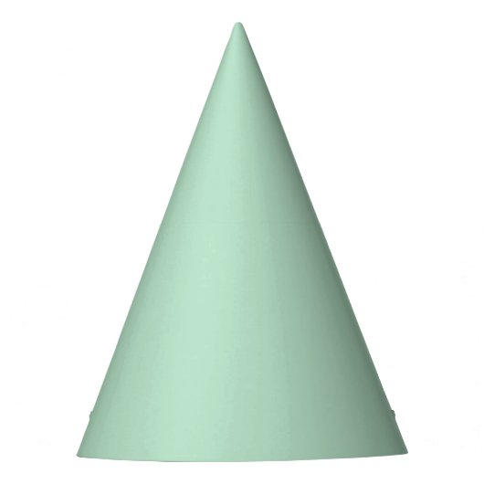 Mint Green Party Pet voor elk feest Feesthoedjes (Voorkant)