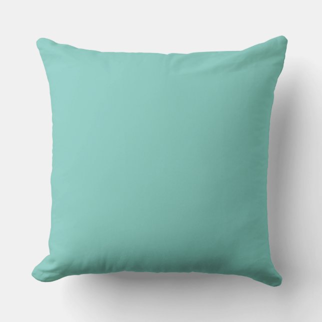 Mint Green Solid Color Kussen (Voorkant)