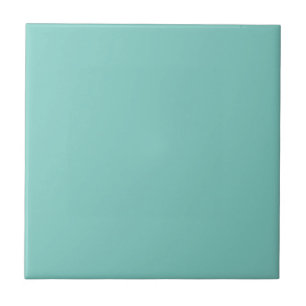 Mint Green Solid Color Tegeltje