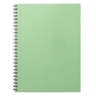 Mint Green Spiral Notitieboek