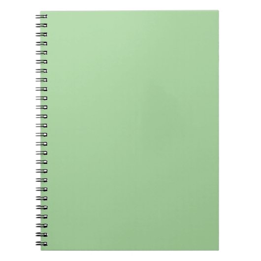 Mint Green Spiral Notitieboek (Voorkant)