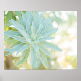 Mint Green Succulent Cactus Flower Natuur Fine Art Poster