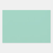 Mint Green Wrapping Paper Soft Pastel Gift Wrap (Voorkant 3)