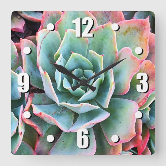 Mint-groene cactus, smakelijk, moderne vierkante klok (Voorkant)