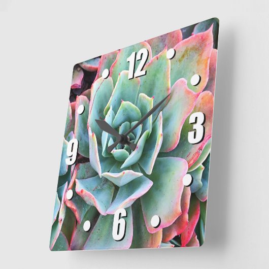 Mint-groene cactus, smakelijk, moderne vierkante klok (Hoek)
