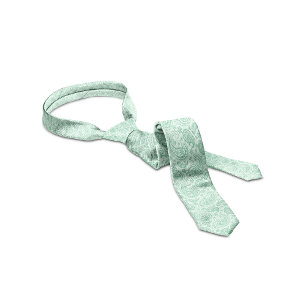 Mint-groene tinten  Paisley Patroon Stropdas