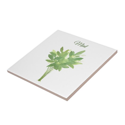 Mint Herb Greenery Kitchen Culinaire Green Chic Tegeltje (Zijkant)