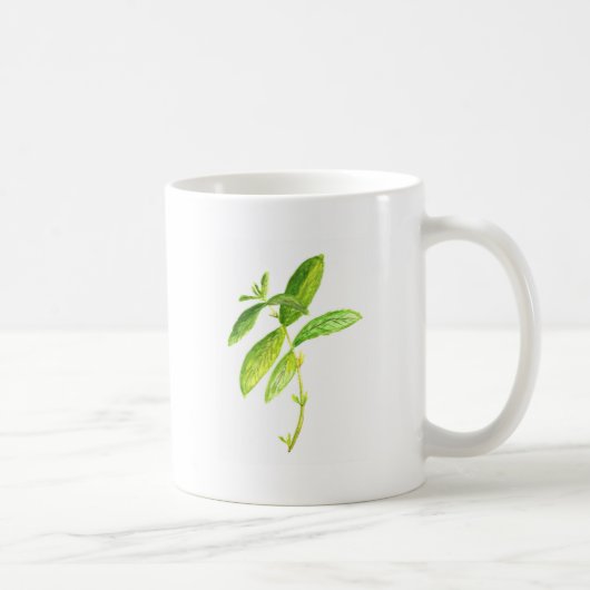 Mint herb Mint waterverf botanische tuinbouw Koffiemok (Rechts)