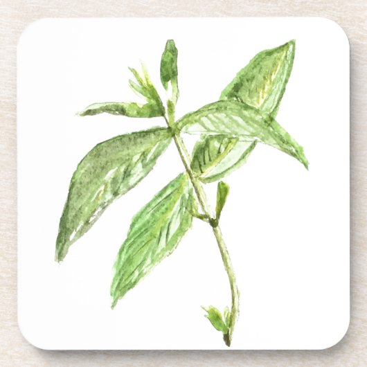 Mint herb onderzetter (Voorkant)