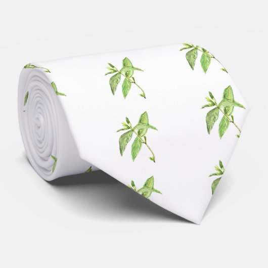 Mint herb stropdas (Opgerold)