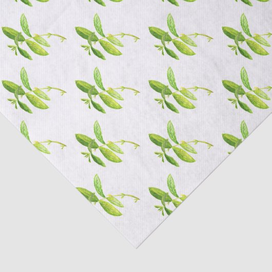 Mint herb Waterverf Greenery Mam Pattern Tissuepapier (Detail)