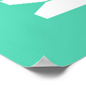 Mint  kleding pinnen Grafisch washuis Kunst Poster (Hoek)