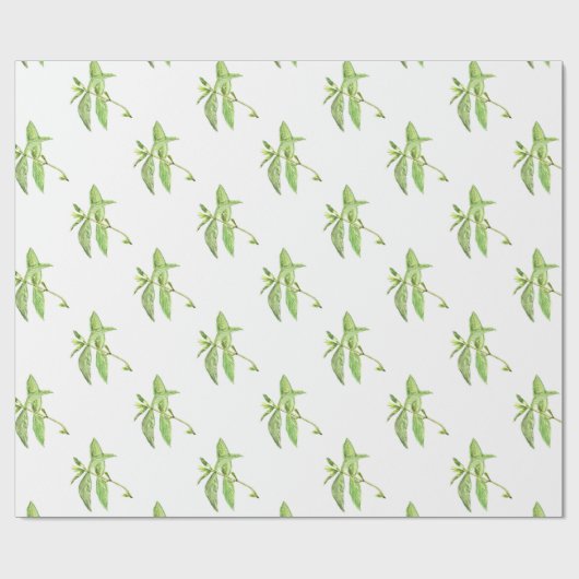 Mint-kruid botanische planten groene tuin cadeaupapier (Vlak)