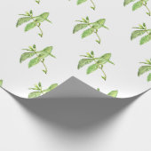 Mint-kruid botanische planten groene tuin cadeaupapier (Hoek)