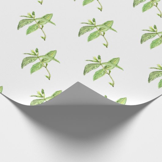 Mint-kruid botanische planten groene tuin cadeaupapier (Hoek)