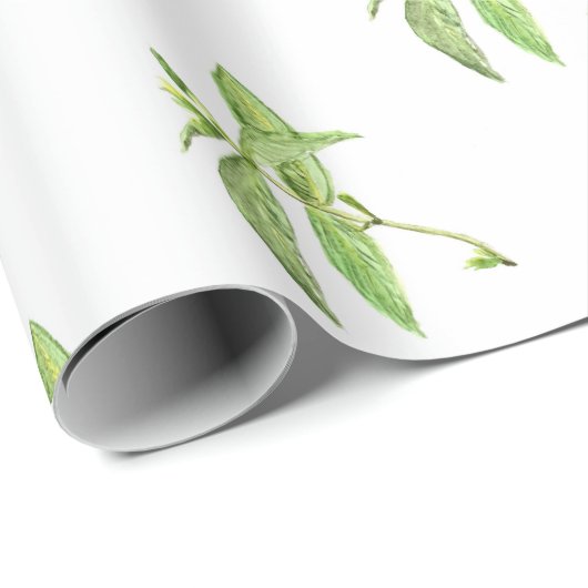 Mint-kruid botanische planten groene tuin cadeaupapier (Rol Hoek)