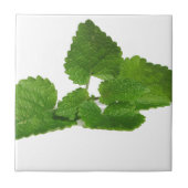 Mint Leaf Tegeltje (Voorkant)