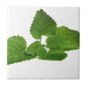 Mint Leaf Tegeltje