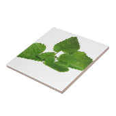 Mint Leaf Tegeltje (Zijkant)