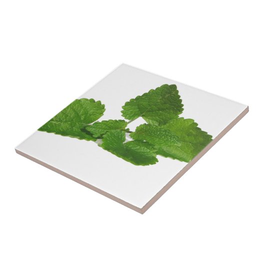Mint Leaf Tegeltje (Zijkant)