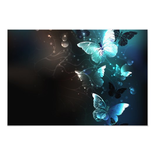 Mint Night Butterflies Foto Afdruk (Voorkant)