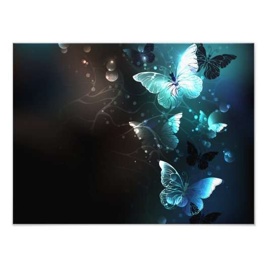 Mint Night Butterflies Foto Afdruk (Voorkant)