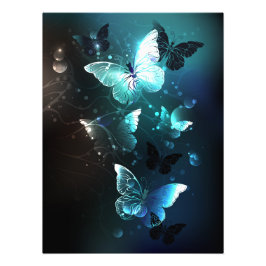 Mint Night Butterflies Foto Afdruk