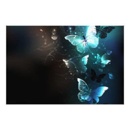 Mint Night Butterflies Foto Afdruk