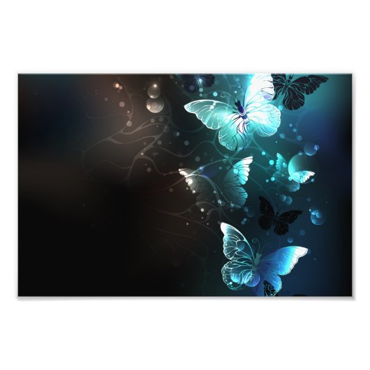 Mint Night Butterflies Foto Afdruk (Voorkant)