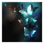Mint Night Butterflies Foto Afdruk (Voorkant)