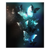 Mint Night Butterflies Foto Afdruk (Voorkant)